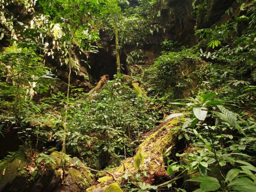 L'entrée de la grotte Mbera, recouverte de végétation
